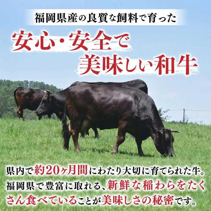 【全6回定期便】サーロイン しゃぶしゃぶすき焼き用 1kg（500g×2p）肉 お肉 牛肉 [ABBP143]