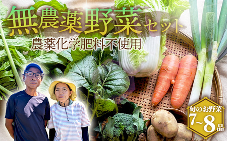 栽培期間中農薬化学肥料不使用　旬のココニコ無農薬野菜セット 7～8品 ／ 野菜 やさい 新鮮 旬 採れたて おいしい 産地直送 産直 露地栽培 こだわり 定番野菜 伝統野菜 めずらしい野菜 フレッシュ 愛知県 No.272