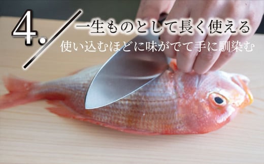土佐打刃物 包丁 出刃包丁 白紙包丁16.5cm 料理包丁 ほうちょう おすすめ 包丁研ぎ ブランド 片刃 刺し身 さしみ 刺身 魚 さかな 出刃 旬 三徳 刃物 はもの 柳刃 料理