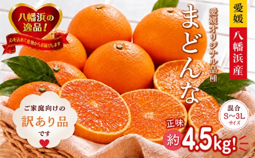【先行受付】11月中旬発送開始　ぷるぷる食感!「 マドンナ 」約4.5キロ【 訳あり 】【39-97】 / ふるさと納税  みかん ミカン フルーツ 果物  くだもの 柑橘 マドンナ 訳あり 産地直送 愛媛県 八幡浜市 送料無料 YWTF072