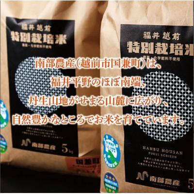 ふるさと納税 越前市 令和7年度 特別栽培米 コシヒカリ　10kg |  | 01