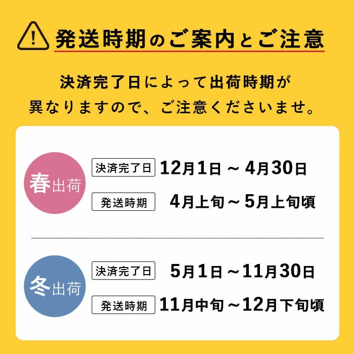 極上メロン「秘蔵っ娘」赤玉(赤肉)1個 メロン マスクメロン 果物 くだもの デザート 赤肉 a5-060