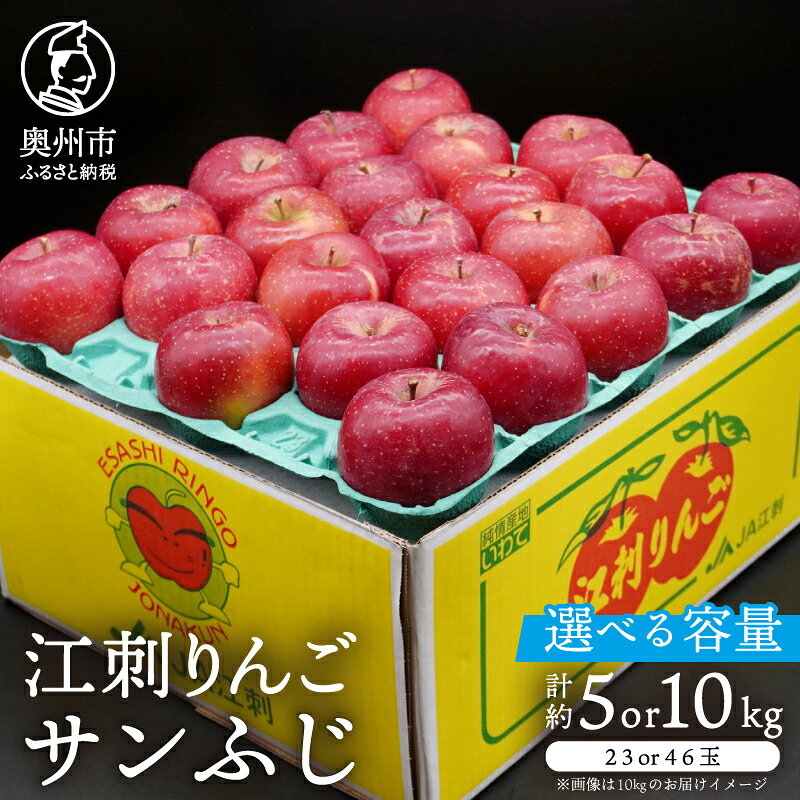 【ふるさと納税】 江刺りんご サンふじ 約5kg (23玉) 約10kg (46玉) 【令和9年1月お届け】 期間限定 数量限定 林檎 りんご ブランドフルーツ サンフジ フルーツ 果物 家庭用 自宅用 贈答 ギフト 常温 [AQ027]