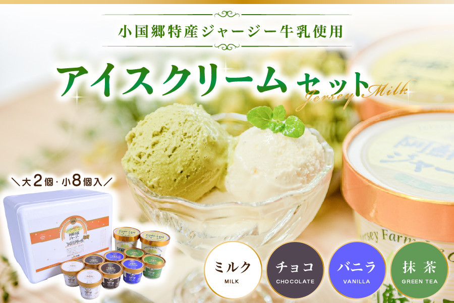 
【小国郷特産ジャージー牛乳を使用！】アイスクリームセット(大2個・小8個入り)
