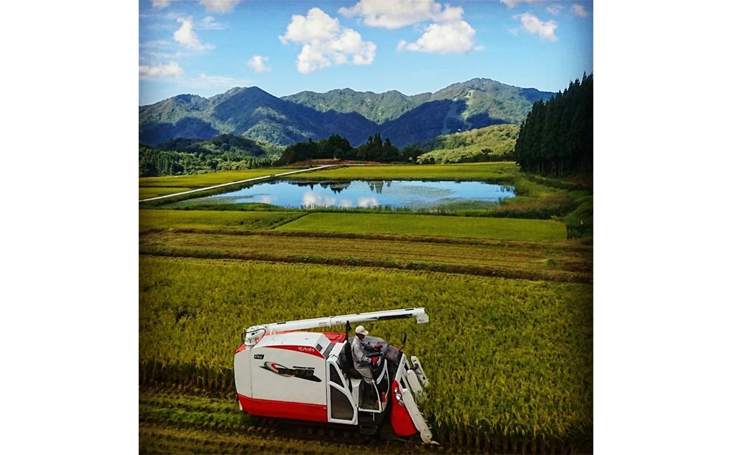 【令和7年産米】新潟県村上市岩船産 棚田米コシヒカリ 4kg（2kg×2袋）1067084