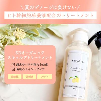 ふるさと納税 旭市 Snowdrop(スノードロップ)スキャルプトリートメント本体　2本 |  | 01