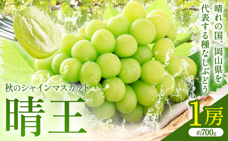 
                  【2026年先行予約】秋のシャインマスカット 晴王 1房 環山堂株式会社《2026年9月上旬-10月上旬頃出荷》岡山県 浅口市 シャインマスカット マスカット ぶどう 果物 フルーツ 送料無料
                