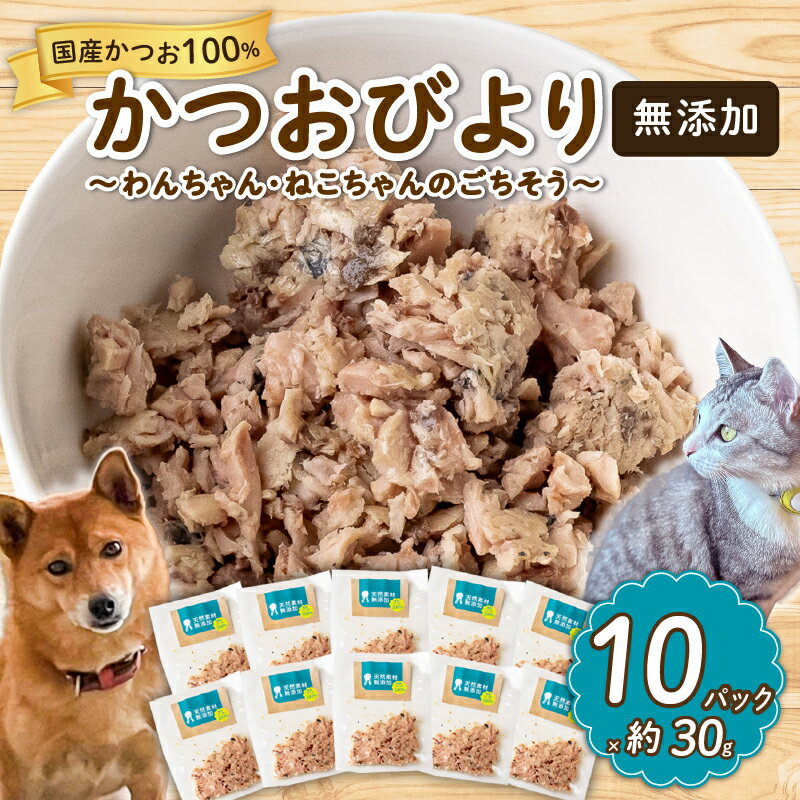 【ふるさと納税】 犬 猫 無添加 ペットフード かつお ドッグフード キャットフード 10パック 国産 いぬ ねこ 魚 鰹 ウェットフード 使い切り 個包装 おやつ ご褒美 MYK010