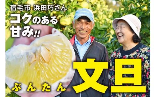 文旦 10kg 家庭用  浜田 巧