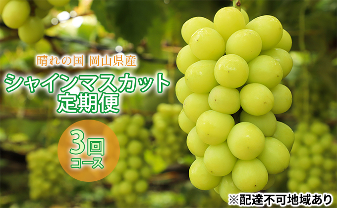 ぶどう 2024年 先行予約 晴れの国 シャインマスカット 1房（約700g） 定期便 3回 コース 岡山県 シャインマスカット フルーツ ぶどう ブドウ 種なし フルーツ  果物 旬 定期便 