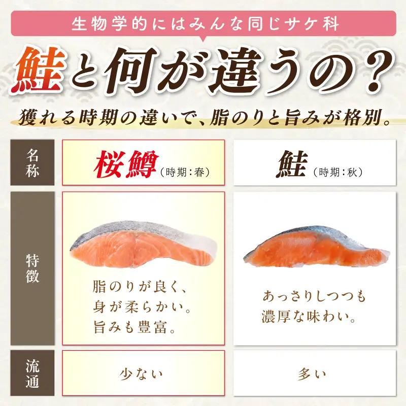サーモン サクラマス 切り身 1kg 北海道 オホーツク産 桜鱒 鮭【094-0083】