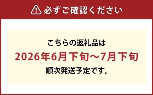 岡山の白桃 （大玉 ／ 早生種） 3玉 （合計約840g