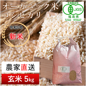 【令和6年産・新米】南相馬・根本有機農園のJAS有機米コシヒカリ5kg（玄米）【3004001】