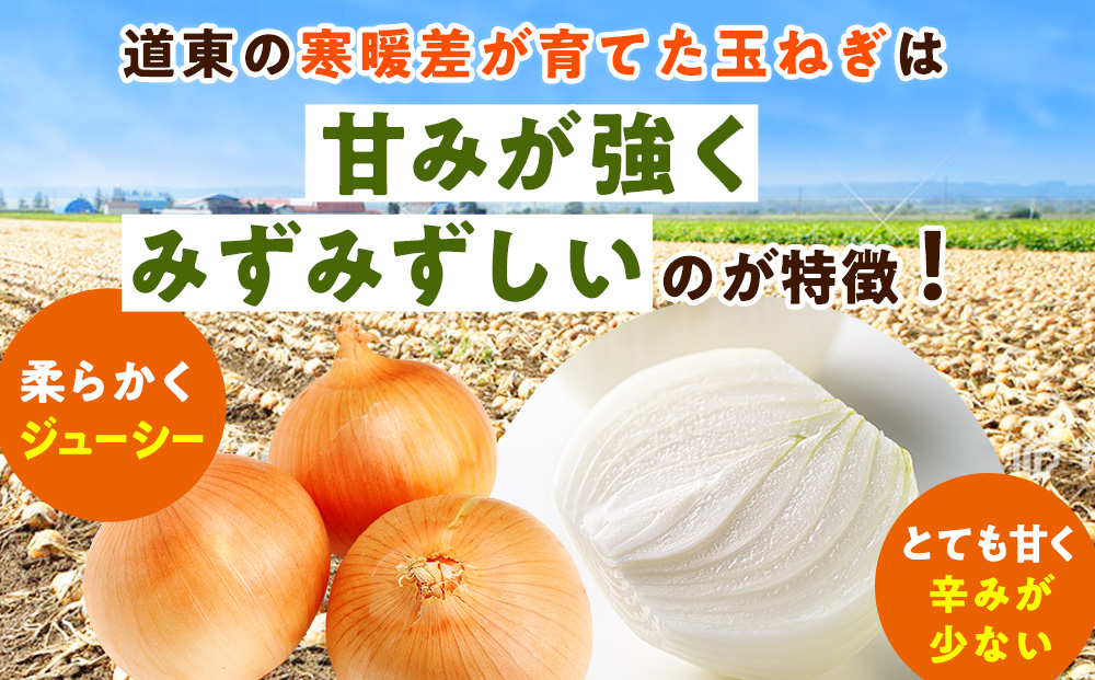R8年産 玉ねぎ （L玉・M玉混合） 10kg オホーツクコロポックル | 北海道津別町