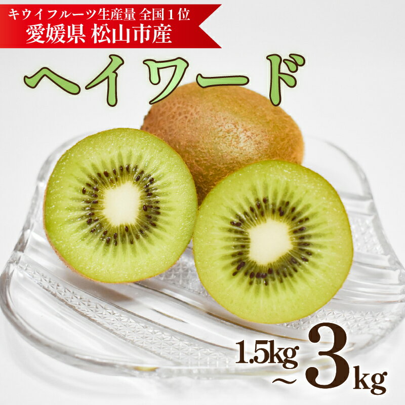 【ふるさと納税】 キウイフルーツ ヘイワード 約1.5kg / 約3kg 【2026年11月上旬頃から順次発送】 | キウイ グリーンキウイ ヘイワード キウイフルーツ フルーツ 果物 きうい くだもの デザート 産地直送 数量限定 国産 送料無料 愛媛県 松山市