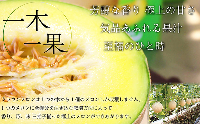 【6か月定期便】クラウンメロン【並（白等級）】中玉（1.3kg前後）2玉入り