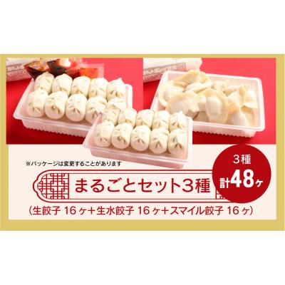 ふるさと納税 名古屋市 カリットギョウザ まるごとセット3種(48ケ)餃子 水餃子 スマイル餃子 |  | 01