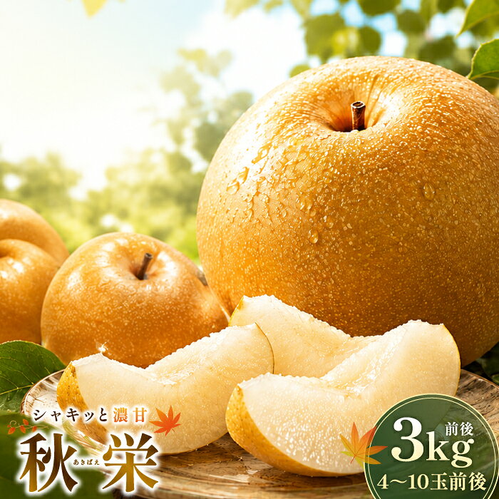 【ふるさと納税】秋栄　3kg
