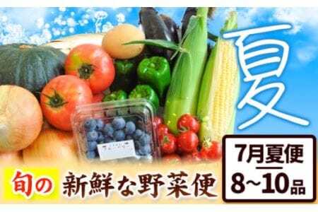 ＜先行予約＞ 旬の新鮮な 野菜便 7月夏便 8～10品  野菜