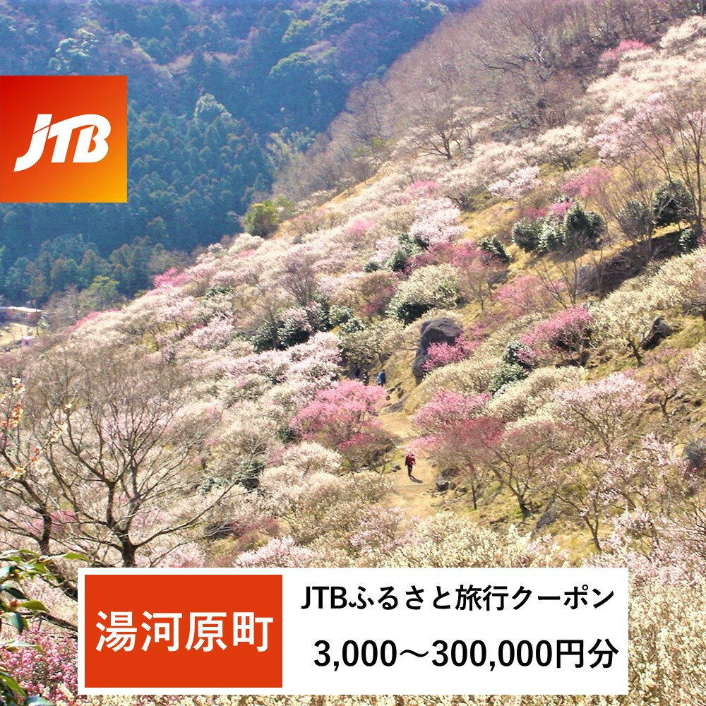 【ふるさと納税】【湯河原町】JTBふるさと旅行クーポン（3,000円分～300,000円分） | 旅行 トラベル 予約 国内旅行 JTB 宿泊 観光 体験 旅行券 宿泊券 旅行予約 温泉 ホテル 旅館 チケット 子供 子連れ カップル 家族 人気 店頭 オンライン ネット予約 電話 有効期間3年
