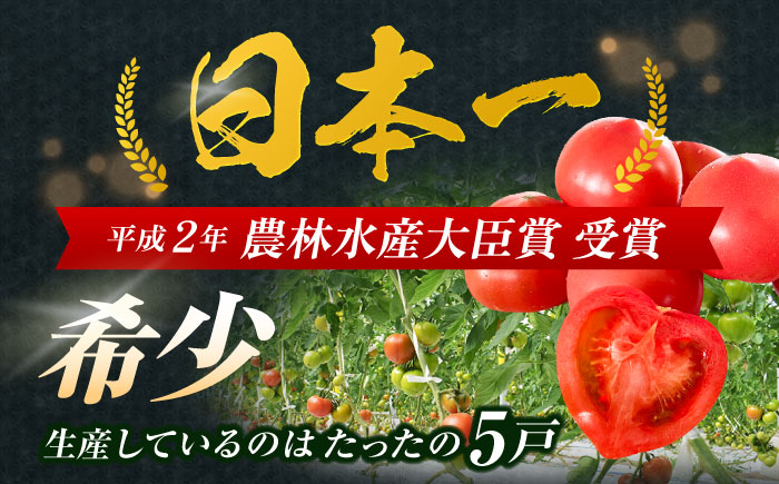 【先行受付】小串トマト 約1kg（8個〜13個程度）【グリーン東彼新鮮市場】[OAE001] / 小串トマト とまと 濃厚トマト 人気とまと 川棚トマト 野菜 サラダ 健康野菜 ビタミン  日本一の称