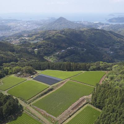 ふるさと納税 佐々町 【農林水産大臣賞受賞】有機栽培 特上煎茶100g×2本詰め合わせ(佐々町) |  | 03