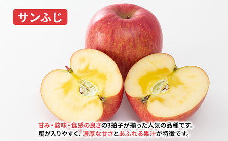 【11月から発送】 りんご 盛岡から「農で人をつなぐ」藤与果樹園： サンふじ 約3kg 6～11玉 玉数指定不可 詰め合わせ 岩手 盛岡