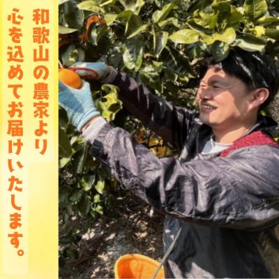 ふるさと納税 広川町 ≪先行受付・2026年9月末〜発送≫ ご家庭用有田レモン 3kg【ワックス・防腐剤不使用・訳あり】 |  | 03