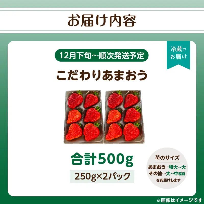 こだわりあまおう 250g×2パック（合計500g）｜2026年12月～順次発送＜ひらい観光農園＞ いちご イチゴ 苺 065-012
