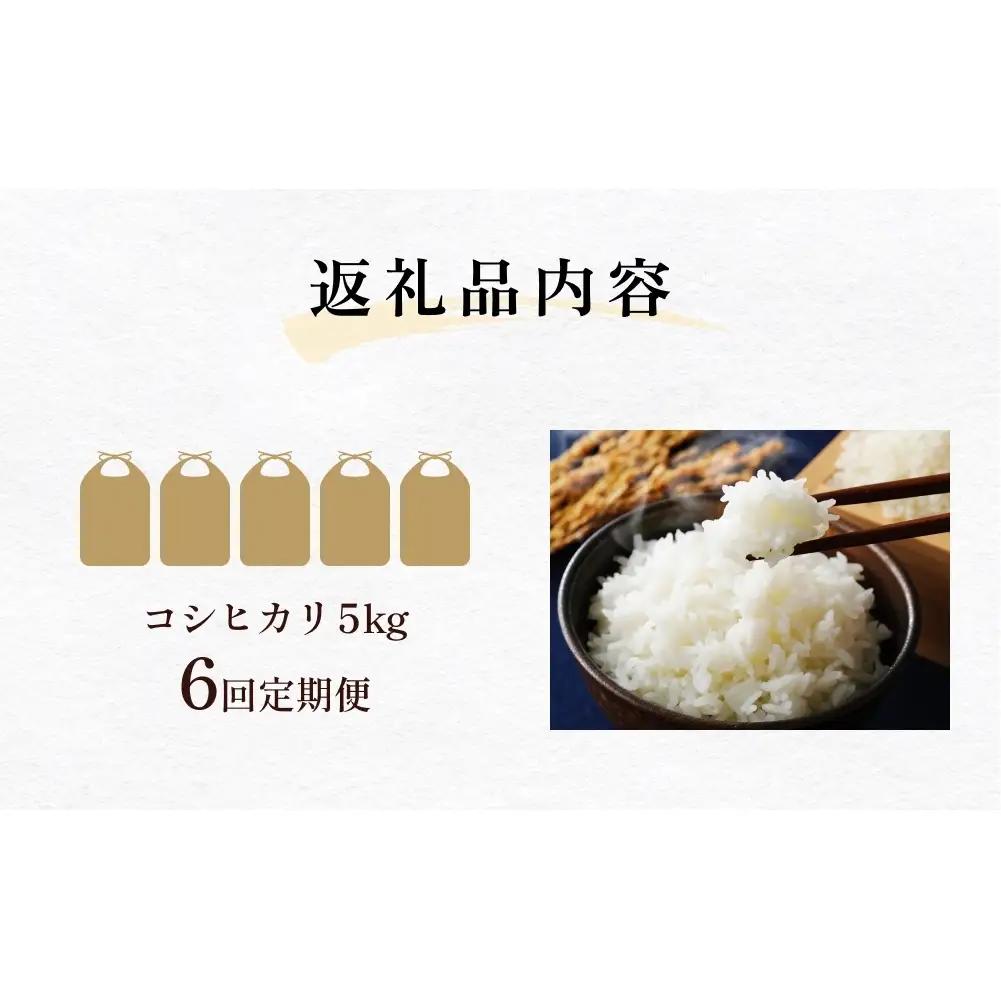 【6回定期便】富山県産 コシヒカリ 5kg  富山県 氷見市 米 コシヒカリ