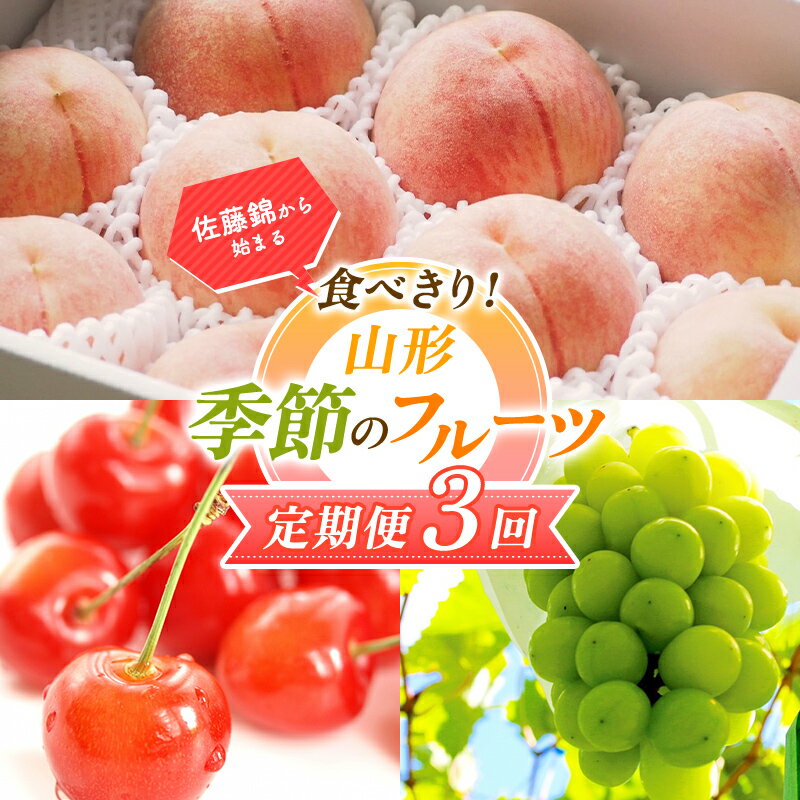【ふるさと納税】【2025年先行予約 定期便3回】 佐藤錦から始まる食べきり！山形季節のフルーツ定期便 FSY-0573