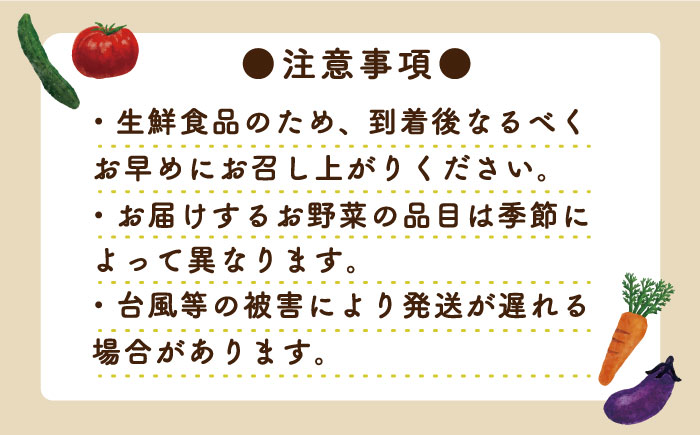 【6回定期便】地元の農家さんが収穫した旬のお野菜 詰め合わせセット 地元の農家さんが収穫した旬のお野菜 詰め合わせセット 野菜定期便 野菜詰め合わせ  / 南島原市 /  ミナサポ [SCW046]