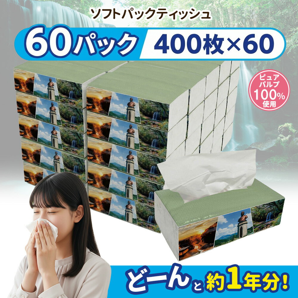 【ふるさと納税】 ソフトパックティッシュ 60パック 400枚 200組 小国町オリジナル ティッシュペーパー ピュアパルプ 柔らか コンパクト ティッシュ 生活応援 日用品 必需品 まとめ買い 大容量 お届けまで最大3ヶ月以内 【地場産品基準：類型3ロ（企画立案）】