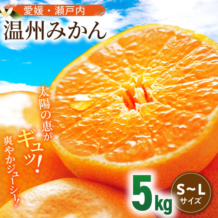 【ふるさと納税】【11月中旬より順次発送】温州みかん（S~Lサイズ）5kg | 人気 おすすめ ランキング おいしい 甘い 果物 ミカン フルーツ 大洲市/沢井青果有限会社 [AGBN047] 10000 10000円 以上