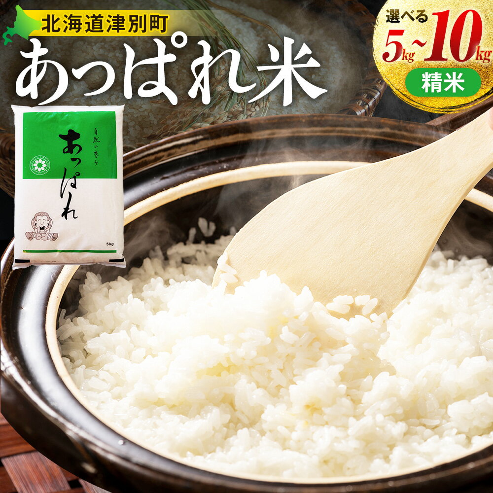 【ふるさと納税】【令和8年産・早期予約受付】北海道産 津別町あっぱれ米（精米）5～10kg | 米 お米 新米 白米 精米 国産米 農家直送 産地直送 北海道 津別町 送料無料