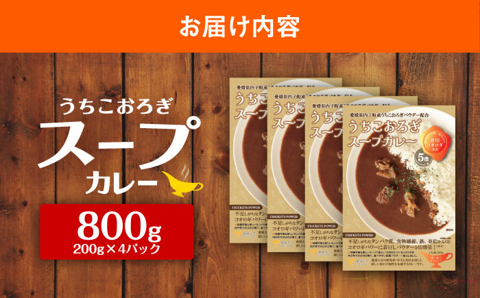 愛媛大学共同企画 イエコオロギパウダー うちこおろぎスープカレー4個セット／国産牛肉 タンパク質 食物繊維 鉄分 亜鉛 保存食 防災 内子町【株式会社ヒューネット風の谷うちこおろぎファーム】 [BKB