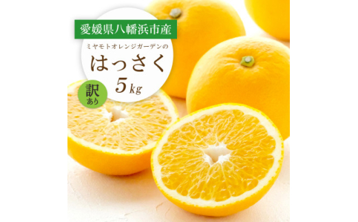 ＜2026年発送＞ぷりぷり!酸味さわやか 八朔(はっさく) 5kg＜訳あり＞＜C25-188＞【1609989】