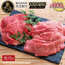 【ふるさと納税】【鹿児島県産】鹿児島県産黒毛和牛 焼肉用 計600g レビューキャンペーン実施中 赤身希少部位2種セット 数量限定 冷凍 スターゼン 南さつま市 国産 送料無料 高級 焼肉 BBQ 焼き肉 焼肉セット 小分け 食べ比べ ギフト ご贈答