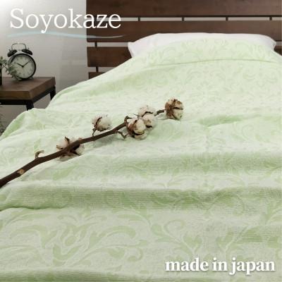 ふるさと納税 和泉市 『軽やか』で洗濯しやすい綿100%タオルケット シングルサイズ(140×190cm)5164-GR