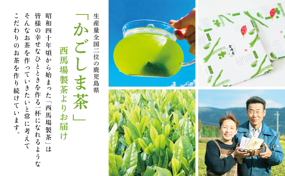 【西馬場製茶】かごしま茶 上煎茶（2種） 3本セット（100g×3） 自園自製 ギフト 贈答 鹿児島県産 かごしま お茶 日本茶 緑茶 茶葉 南さつま市