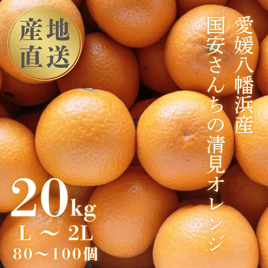 
                  ＜まるで食べるジュース!越冬完熟品＞愛媛産 清見オレンジ 20kg＜H20-94＞【1625385】 YWTI089
                