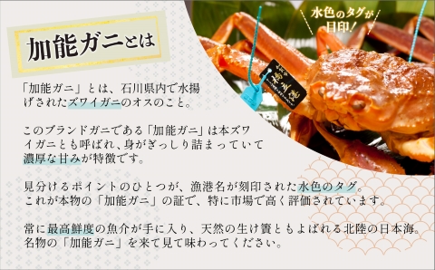 お2人様で一杯タグ付きブランド1kg活蟹とお1人様一杯の香箱蟹贅沢グルメプラン（1泊2食付2名様1室）《 満室日を除く11/10から12/28までの期間限定 》500011