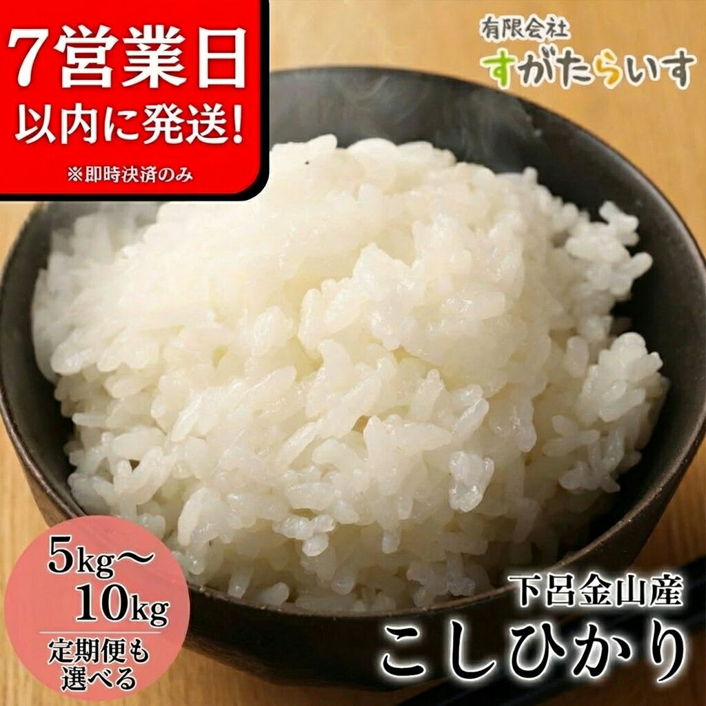 【ふるさと納税】＜令和7年産米＞こしひかり 5kg / 10kg 定期便　3回/ 6回 すぐ発送 即納 すぐ届く すがたらいす 2025年産 お米 米 精米 下呂市金山産 コシヒカリ