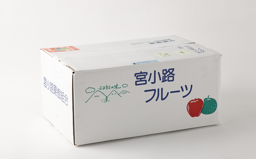 美味しい 【九州産】 梨 7.0kg  豊水 20世紀 新高 新興 (画像はイメージです)