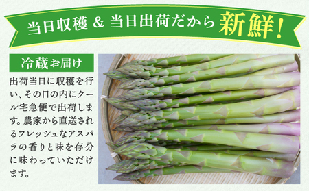 【2026年先行予約】太くてあまーい 北海道産 春芽 アスパラ (約2kg/LL以上中心+3L・L混合 ) 先行予約 新鮮 採れたて直送 旬 野菜 あすぱら 農家直送 北海道  Farm&Firm か