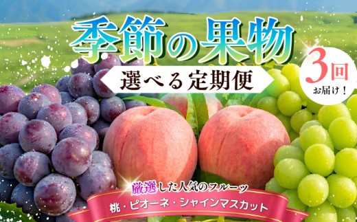 
                  【容量選べる定期便】季節の果物 定期便 全3回 白桃・ピオーネ・シャインマスカット 【先行予約 2026年7月下旬から順次発送】
                