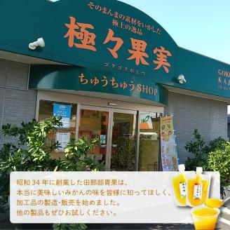 ちゅうちゅうゼリー 定期便 5個×3回 果汁ゼリー 柑橘 ゼリー みかん 果物ゼリー スイーツ 愛媛県 松山市