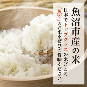 無洗米 定期便 3ヶ月 コシヒカリ 5kg 米 白米 お米 魚沼産コシヒカリ 新潟米 新潟 魚沼市 定期 3回