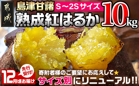 先行受付!【12月お届け】島津甘藷　熟成紅はるか 10kg(S～2S)_AA-A701-m-12_(都城市) 島津甘藷 紅はるか サツマイモ 未選別 10kg S～2S