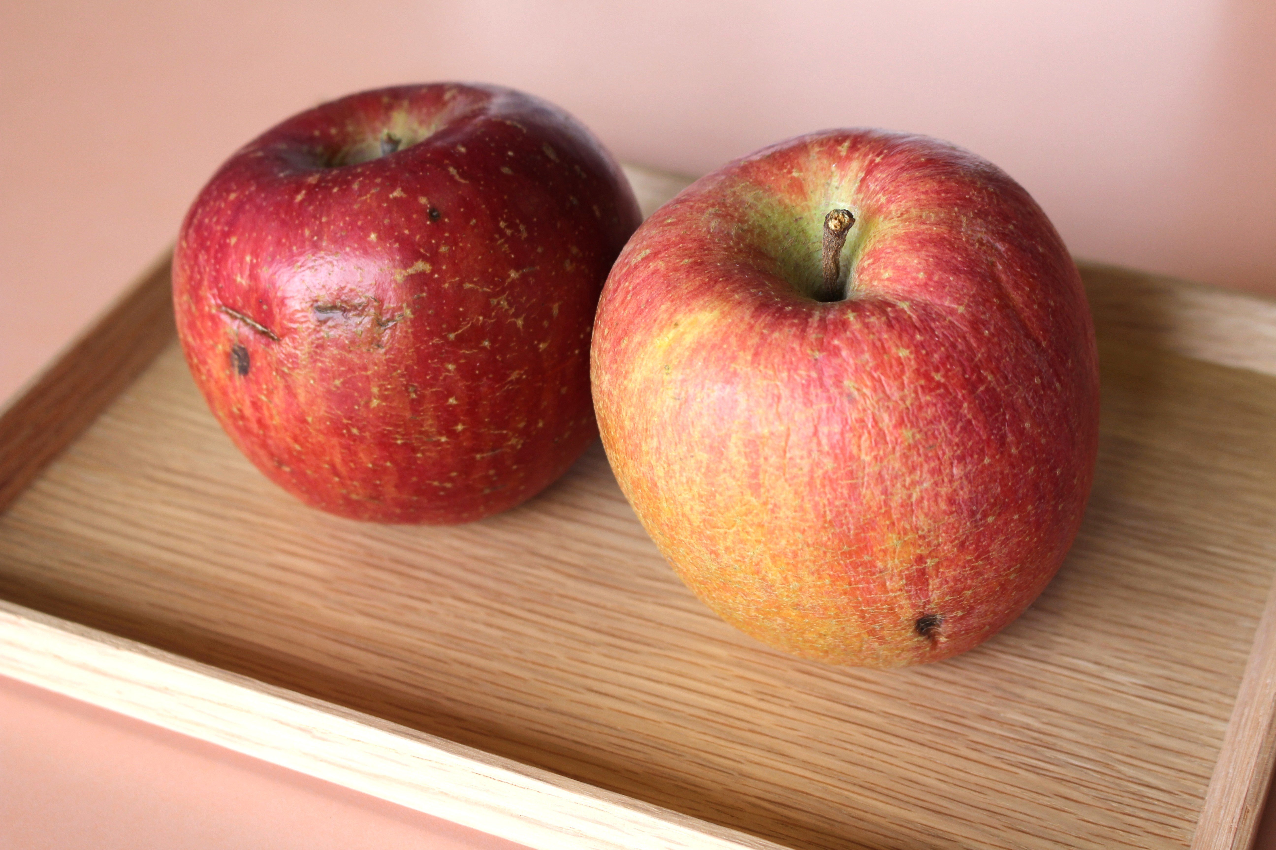 【訳あり品】軟化、しわ、押しキズ